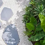 Tropical Garden On Center 푼샬