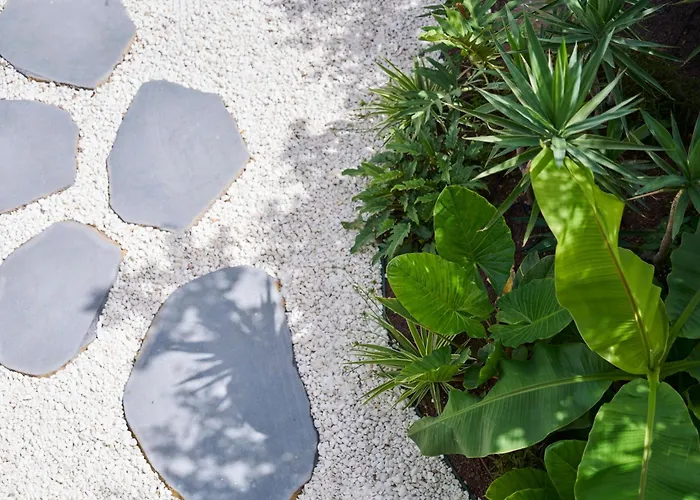 Imperatriz Tropical Garden פונשל