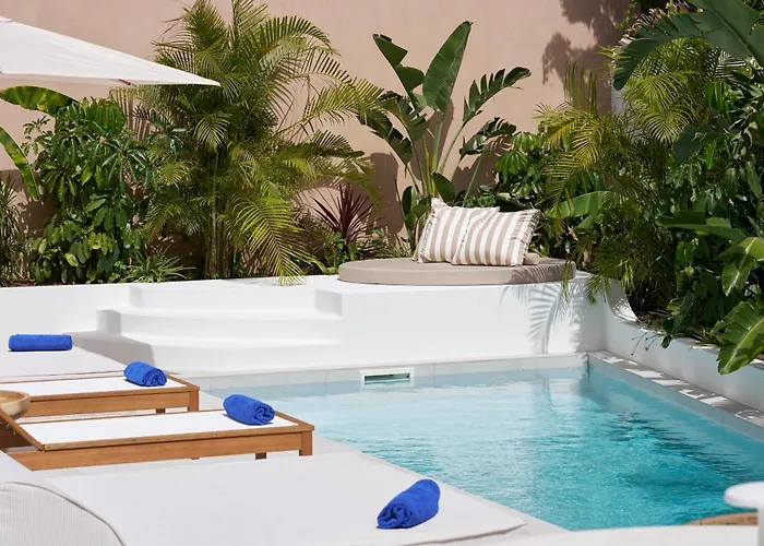 Tropical Garden On Center Villa Funchal (Madeira)